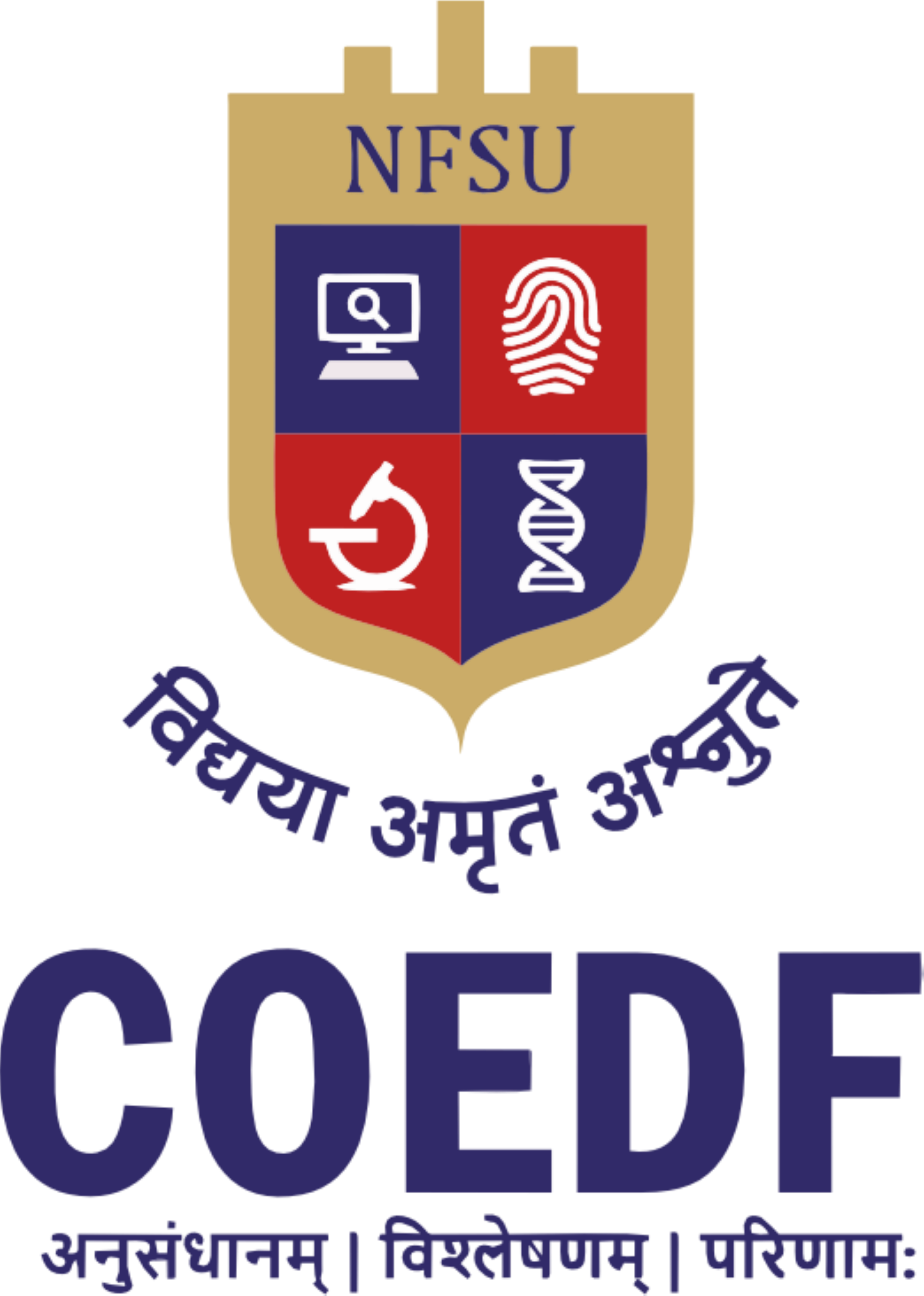 Center of Excellence in Digital Forensics Logo